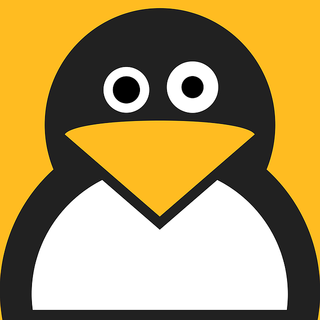 LUKS Vulnerability, Hacking Linux with single Key Press !
