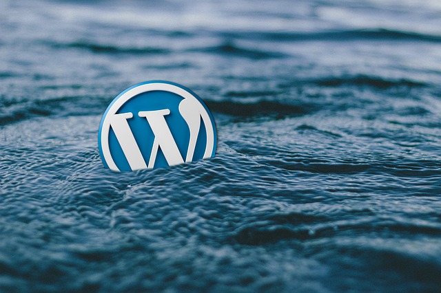 How to Fix Soft 404 Errors in WordPress?
